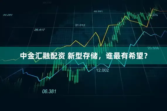 中金汇融配资 新型存储，谁最有希望？
