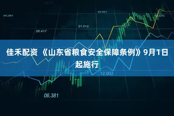 佳禾配资 《山东省粮食安全保障条例》9月1日起施行